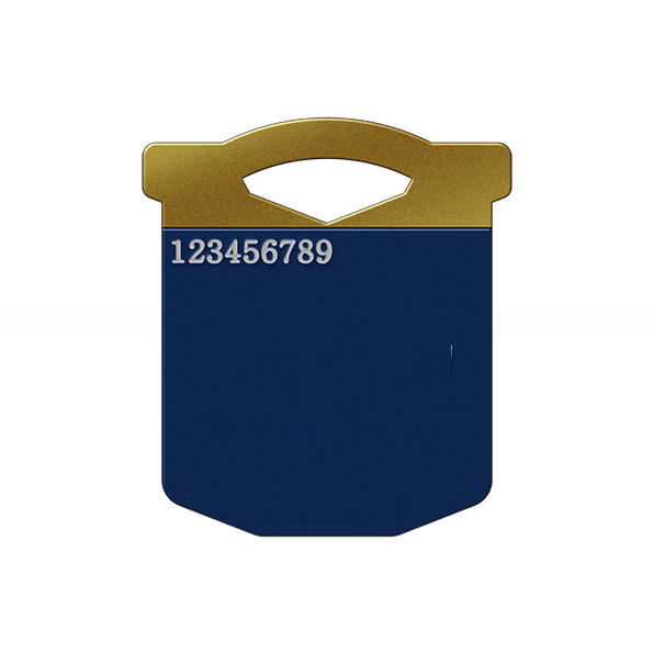 ePass FIDO USB-A (K10)